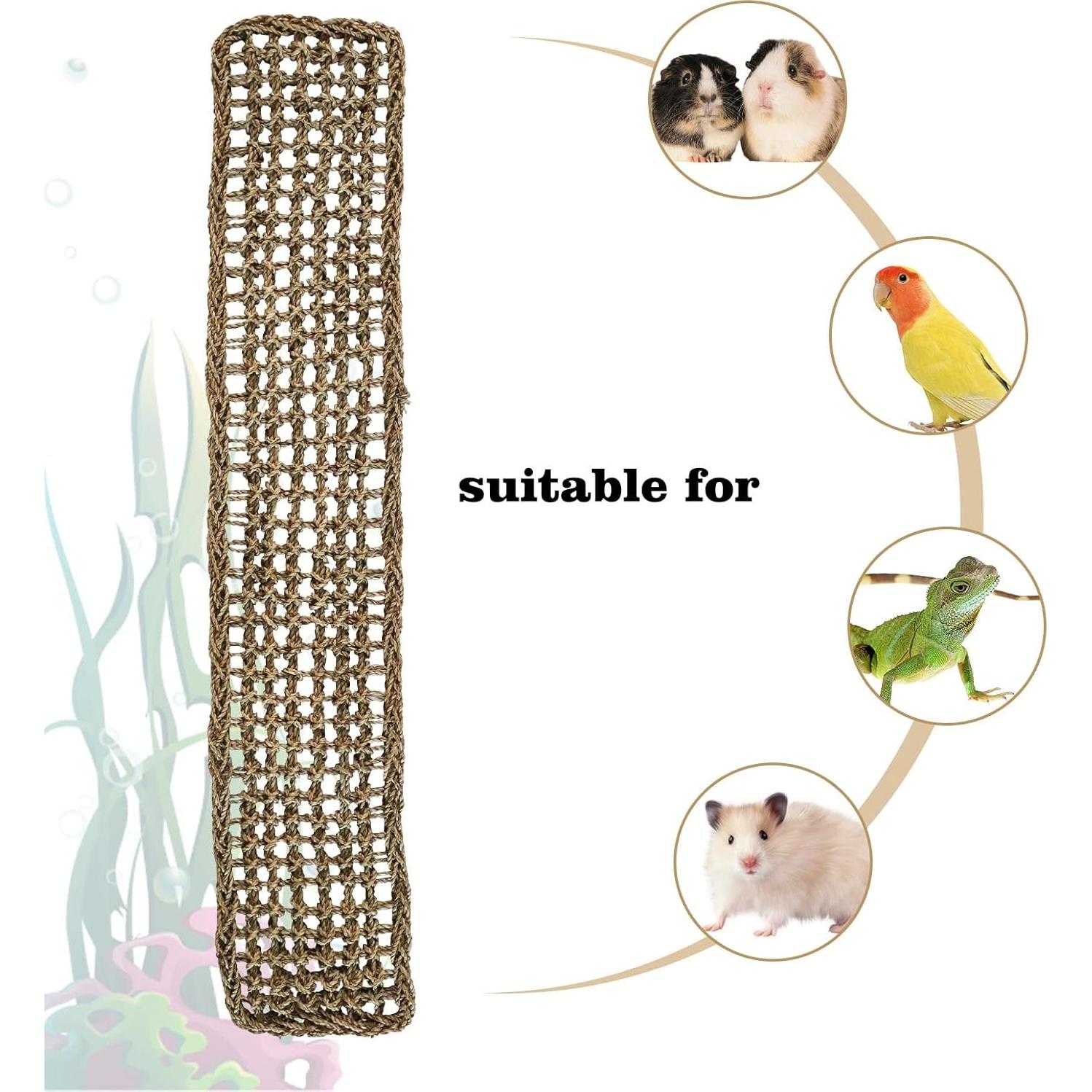 Alfombra de Hierba Marina Natural Dnoifne 100x18 cm para Aves