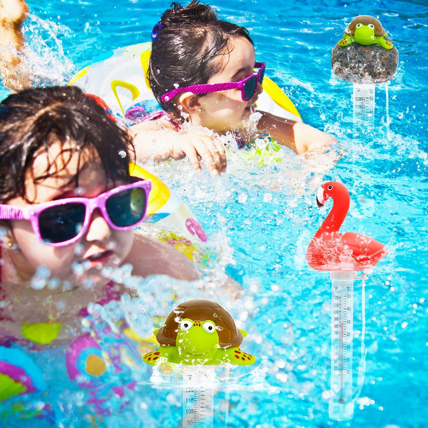 Termómetro Flotante para Piscina XY-WQ Flamenco Grande