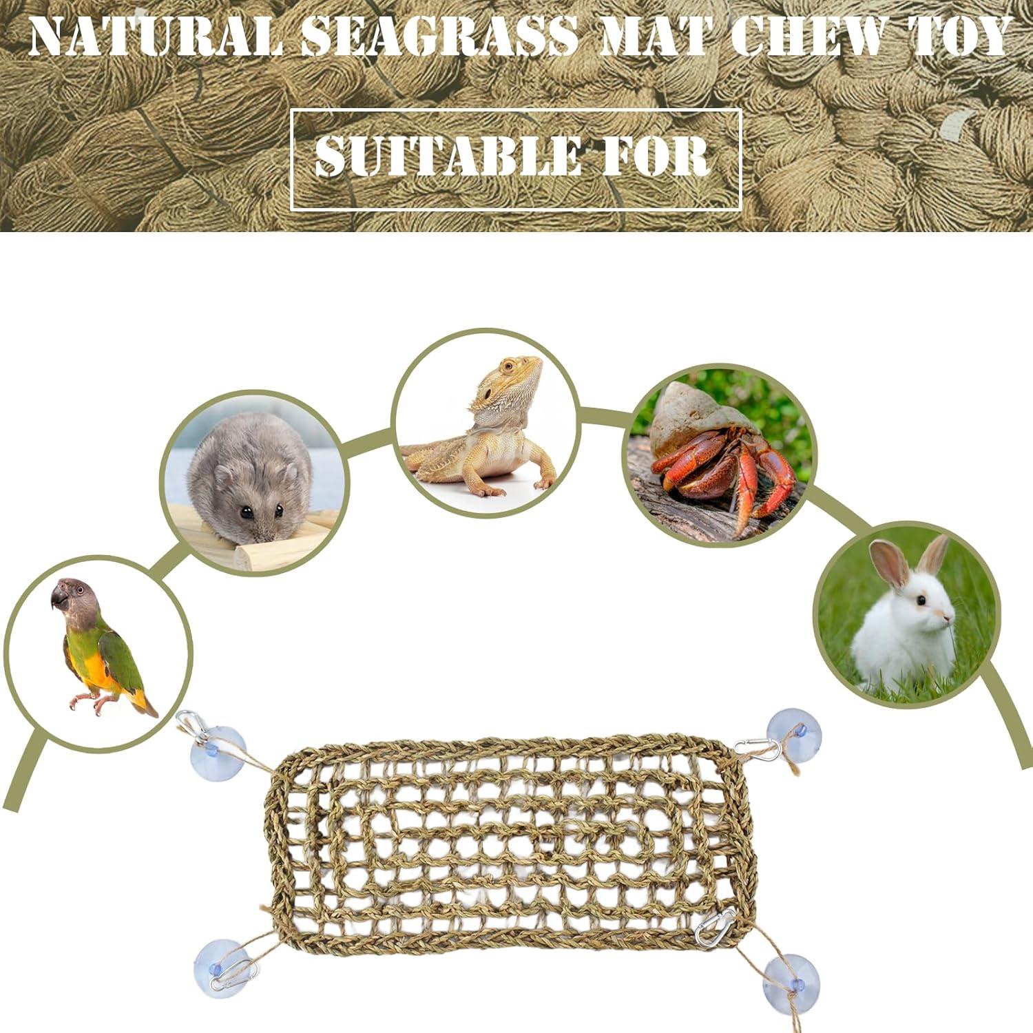 Hamaca de Hierba Marina 40x17cm para Reptiles y Aves Cdipesp