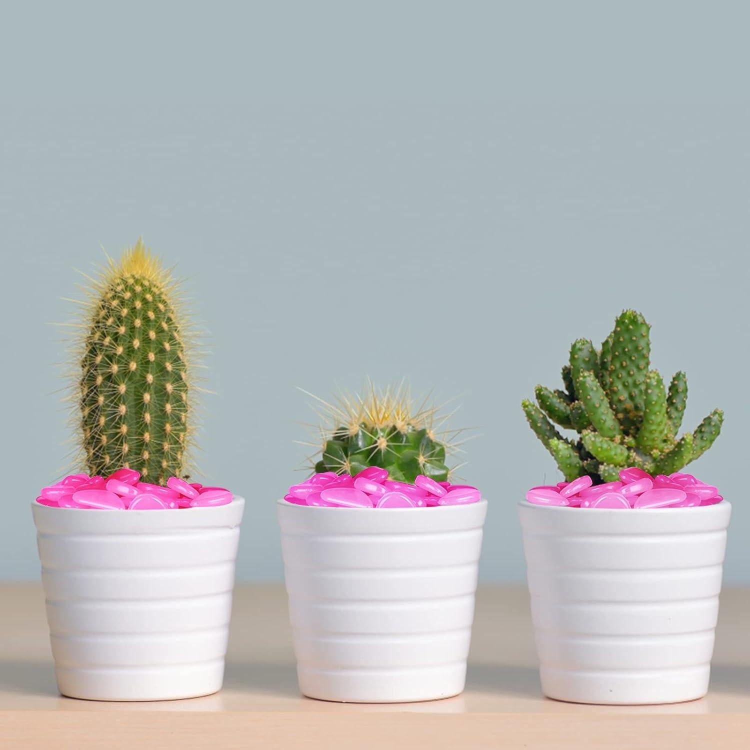 Piedras Brillantes Luminiscentes Rosadas 100Pcs - Dinastía Kaiyuan