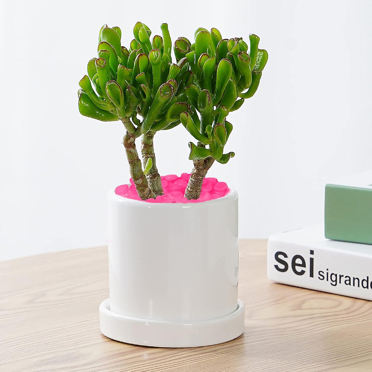 Piedras Brillantes Luminiscentes Rosadas 100Pcs - Dinastía Kaiyuan