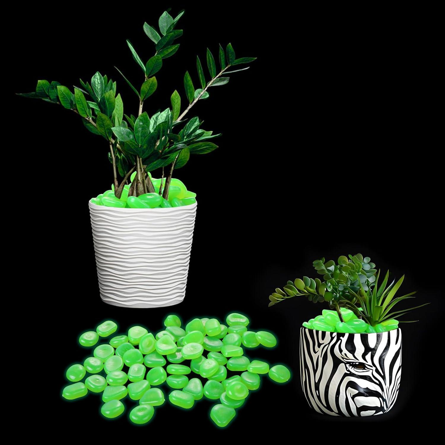 100 Piedras Brillantes en la Oscuridad TOSAMZOO para Jardín