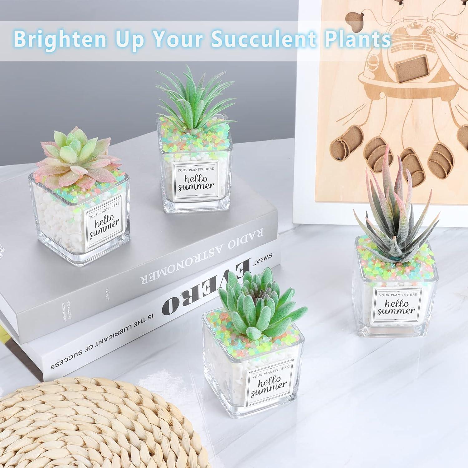 Piedras Brillantes para Acuario y Jardín Kaiyuan 250g 3-5mm