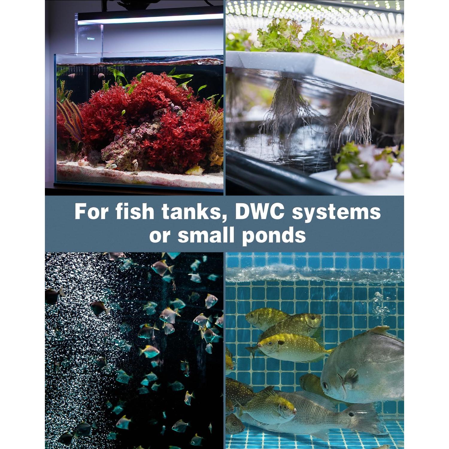 Pawfly Piedra de Aire Hemisférica Difusor de Oxígeno 8.56 cm