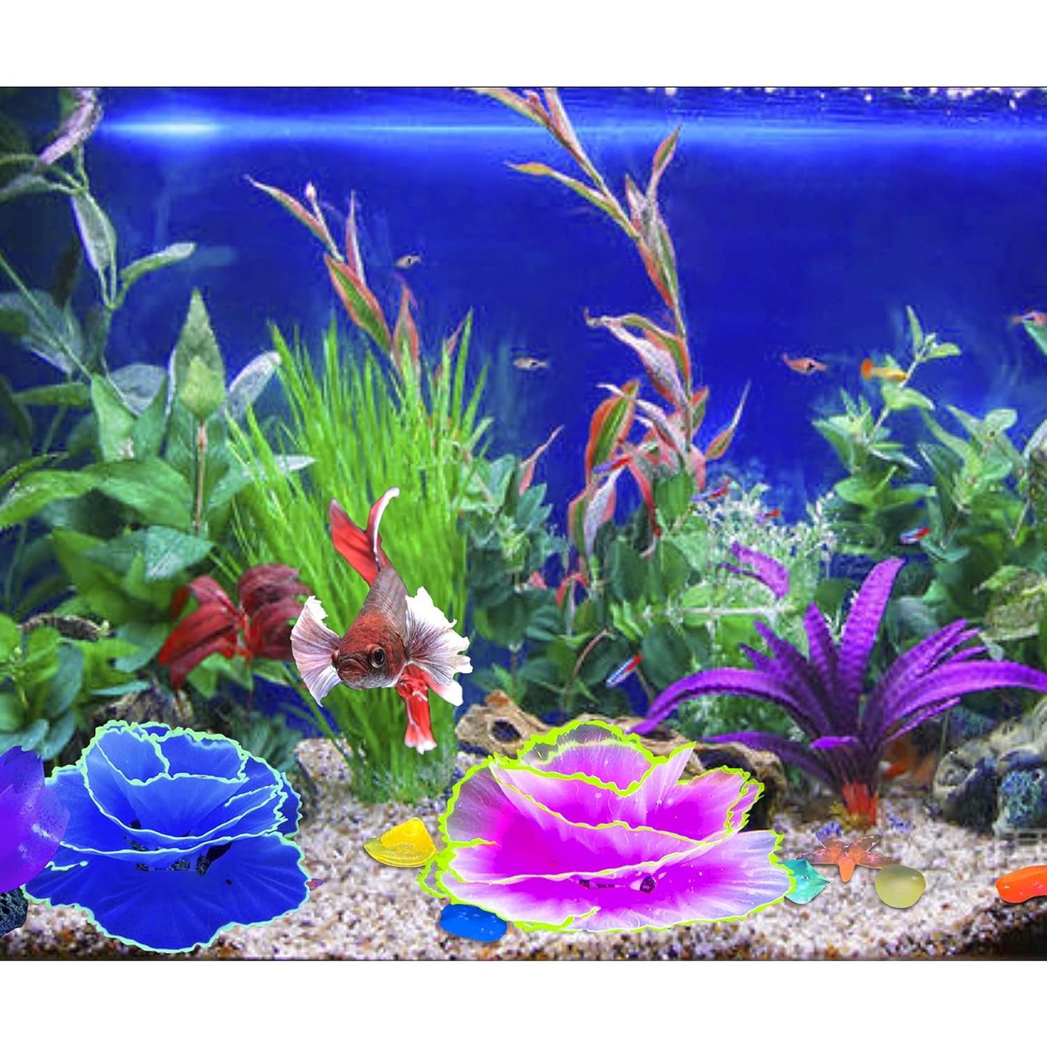 Decoración de Acuario Livfodrm Coral Brillante 2pcs + 10 Conchas