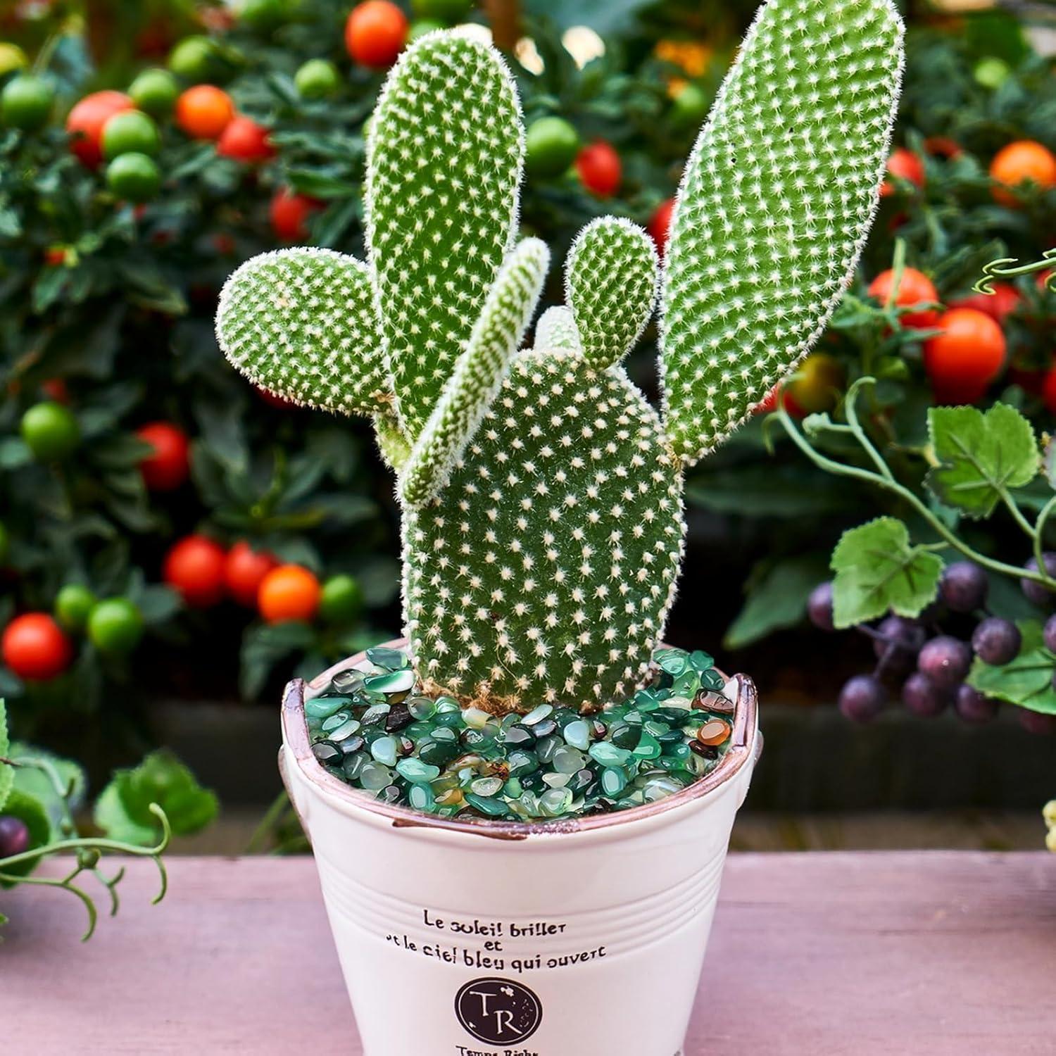 Guijarros Verdes Halatool 2.2kg para Acuarios y Jardinería