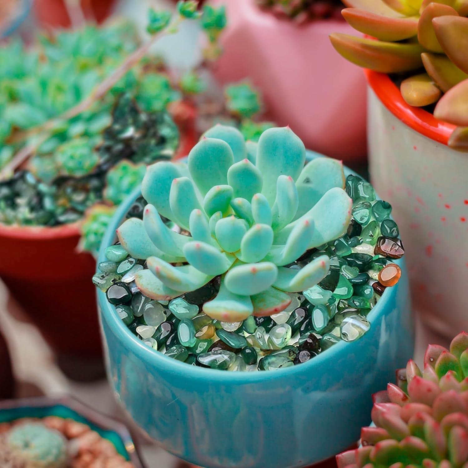 Guijarros Verdes Halatool 2.2kg para Acuarios y Jardinería