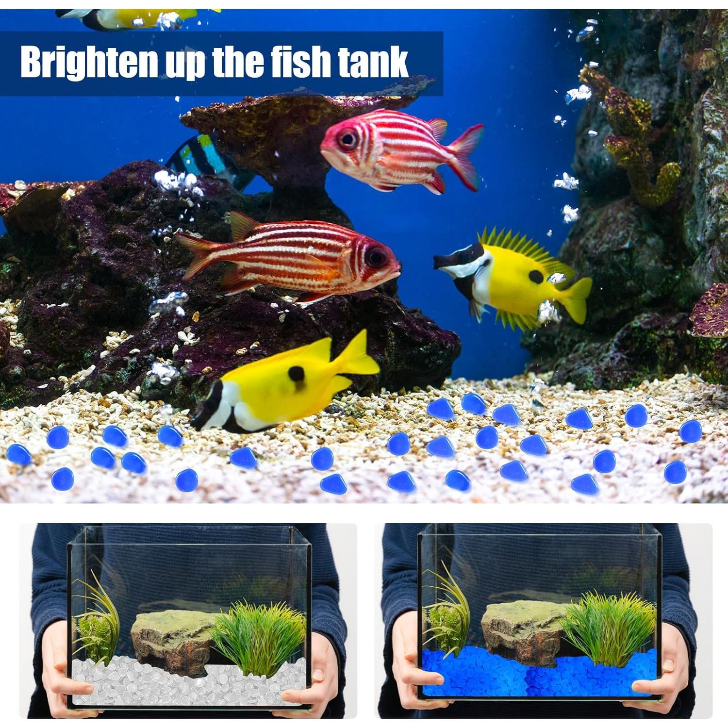 Grava que Brilla en la Oscuridad Sasylvia 6000 Pcs Blanca