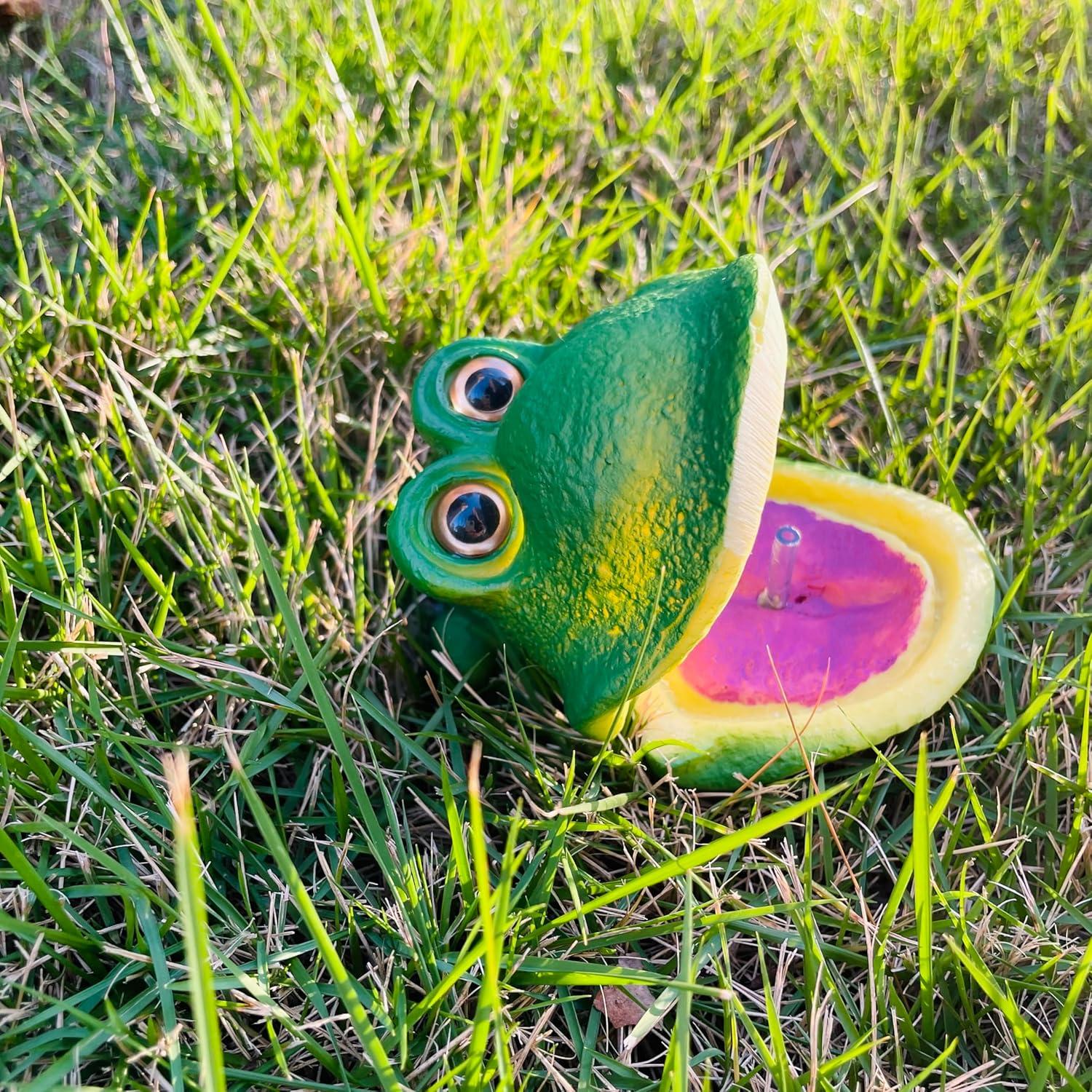 Adorno de Rana Arbórea con Burbujas de Aire Wanwanzi 11 cm