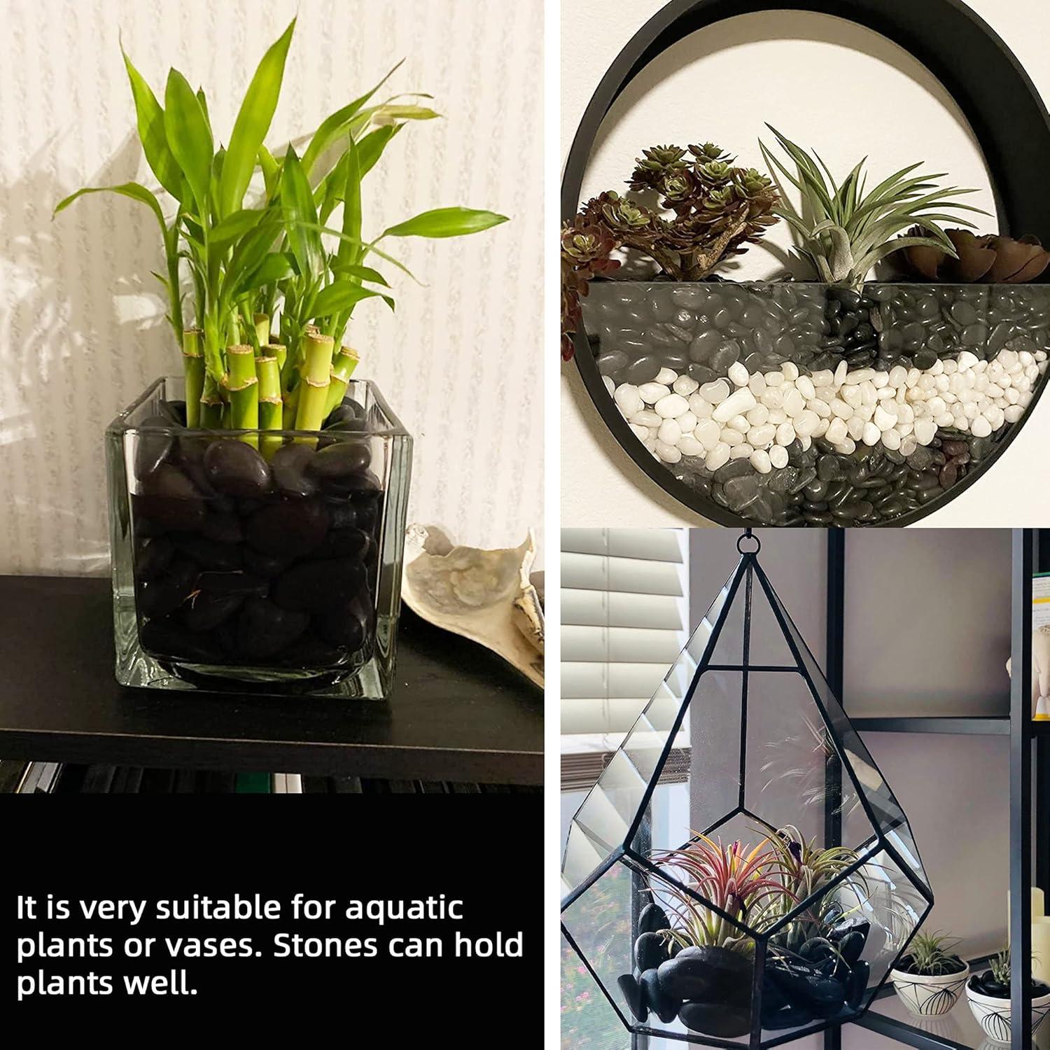 Guijarros Negros Pulidos para Plantas 1.36kg 1.27-2.54cm