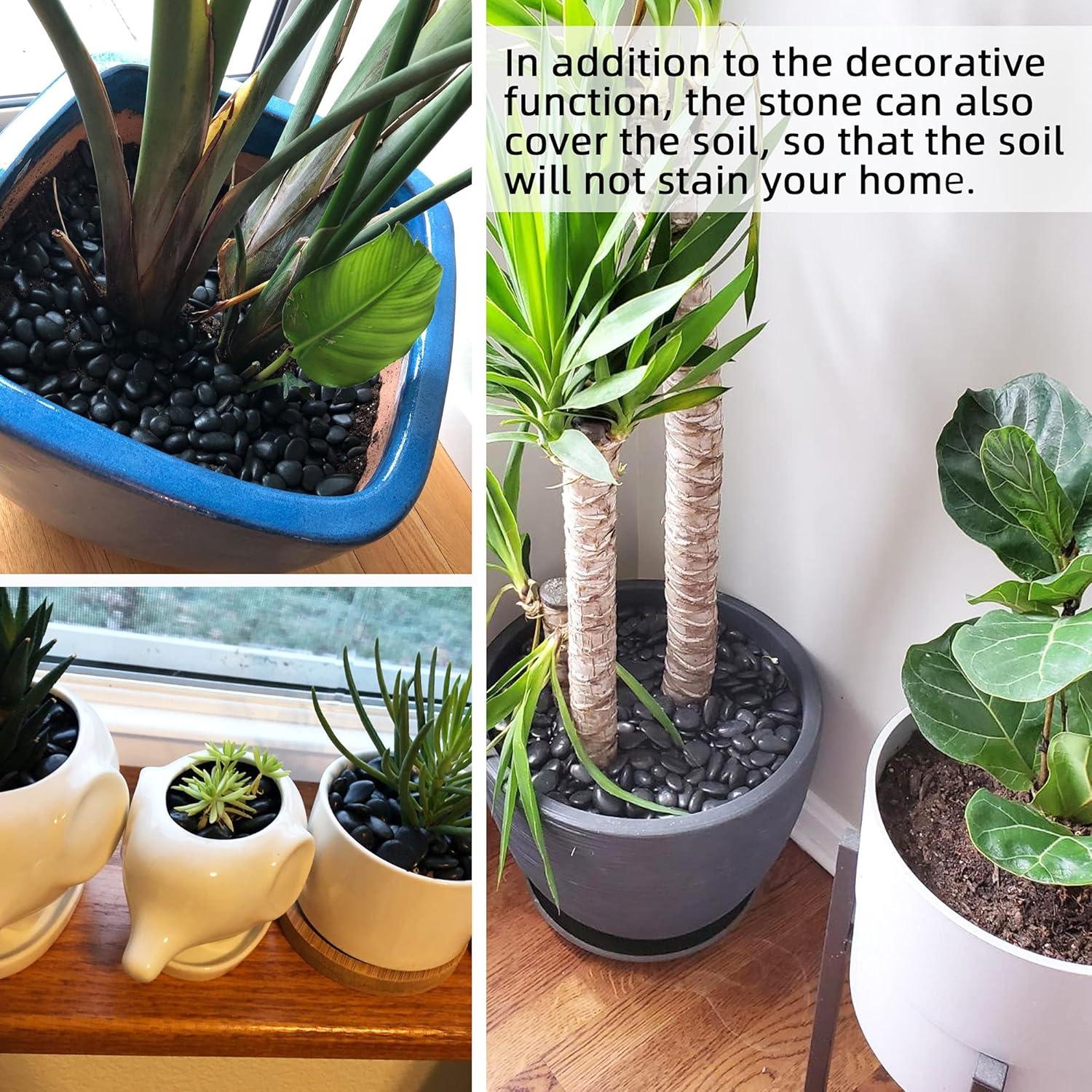 Guijarros Negros Pulidos para Plantas 1.36kg 1.27-2.54cm