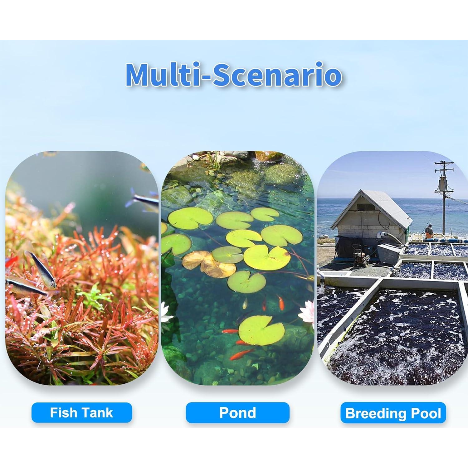 Piedra de Aire COOSPIDER 10.16 cm para Acuario y Estanque