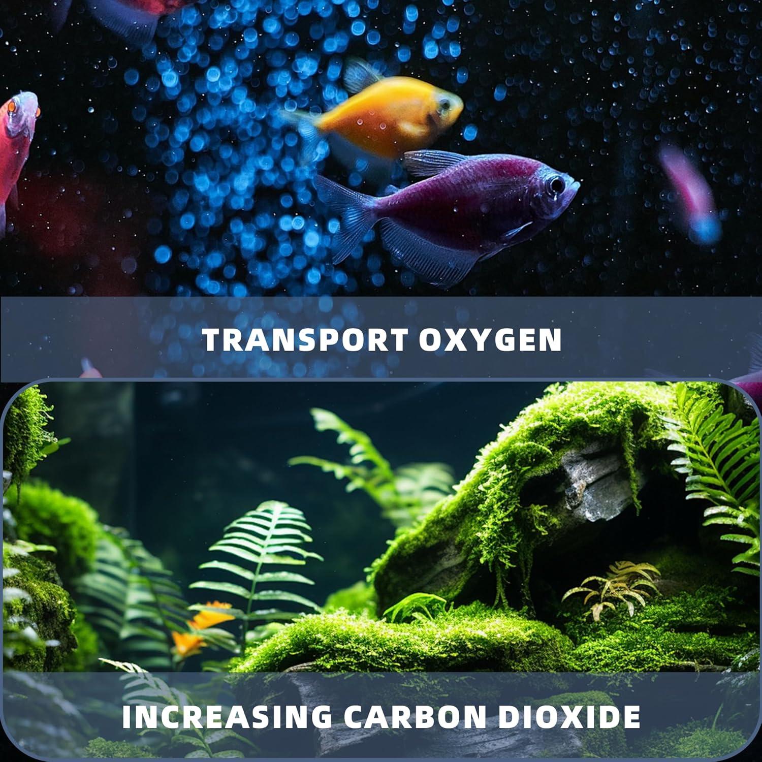 Tubería de Aire para Acuario Yochaqute 3 Metros Silicona 4.76 mm