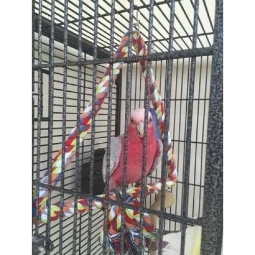 Juguete para Aves KINTOR Triángulo Mediano 31.75cm Algodón