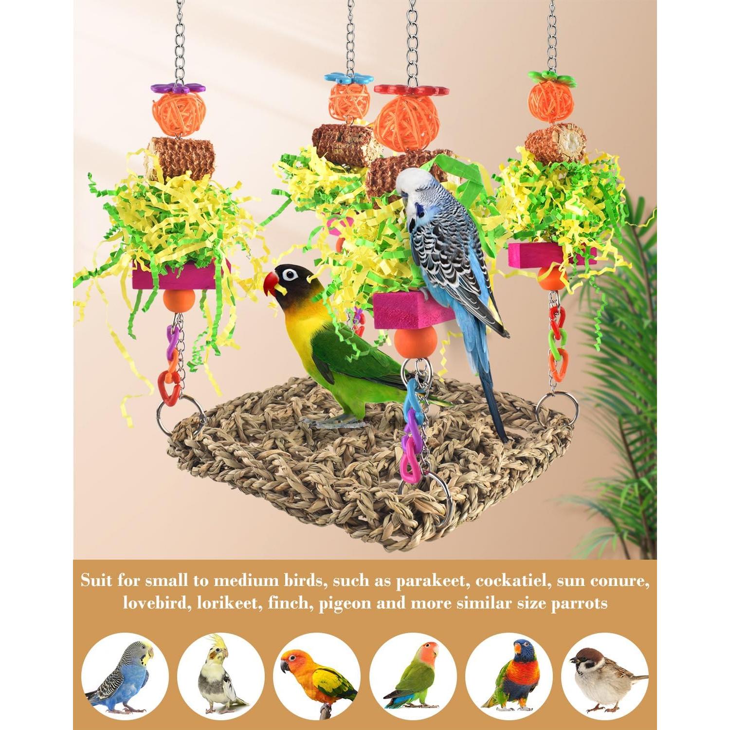 Juguetes para Aves ERKOON - Alfombra y Hamaca 17x45.7cm