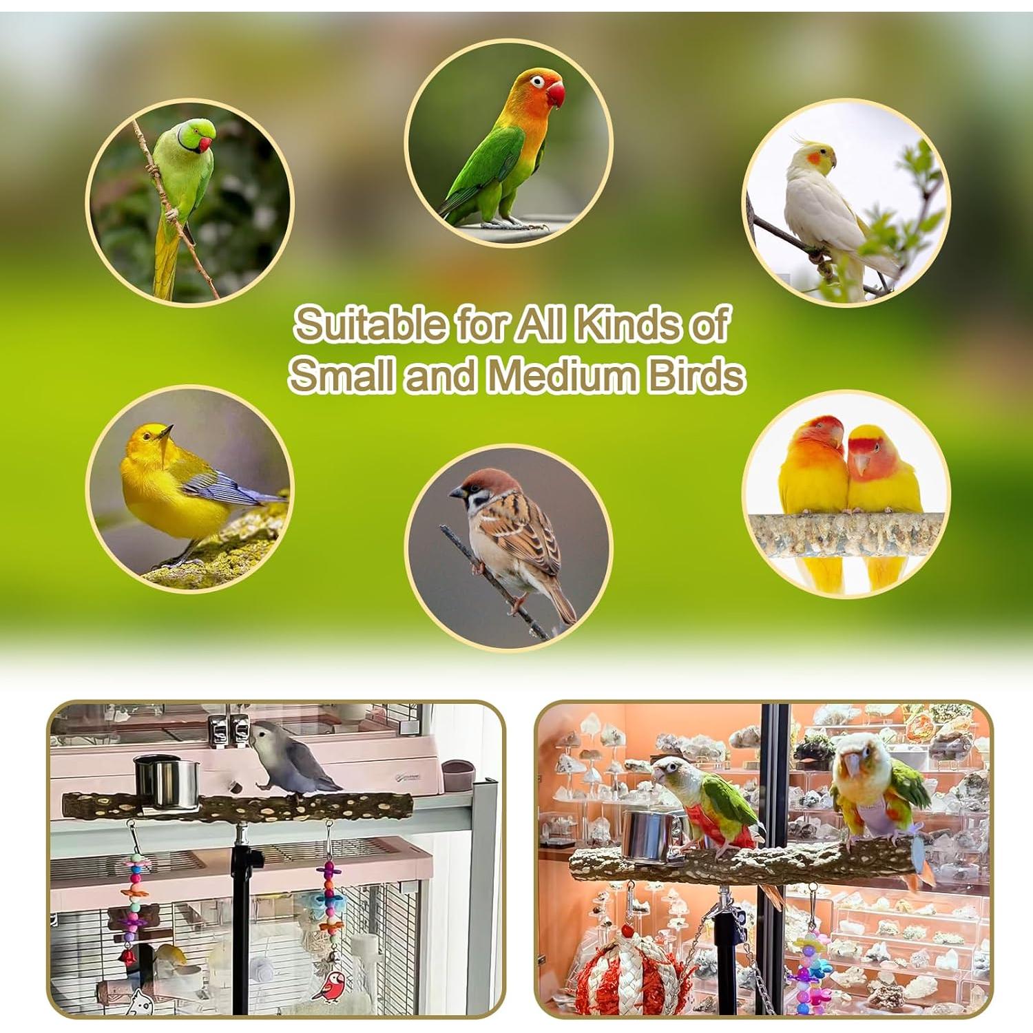 Perch para Aves Arfubye Ajustable 40-160 cm con Tazas y Juguete