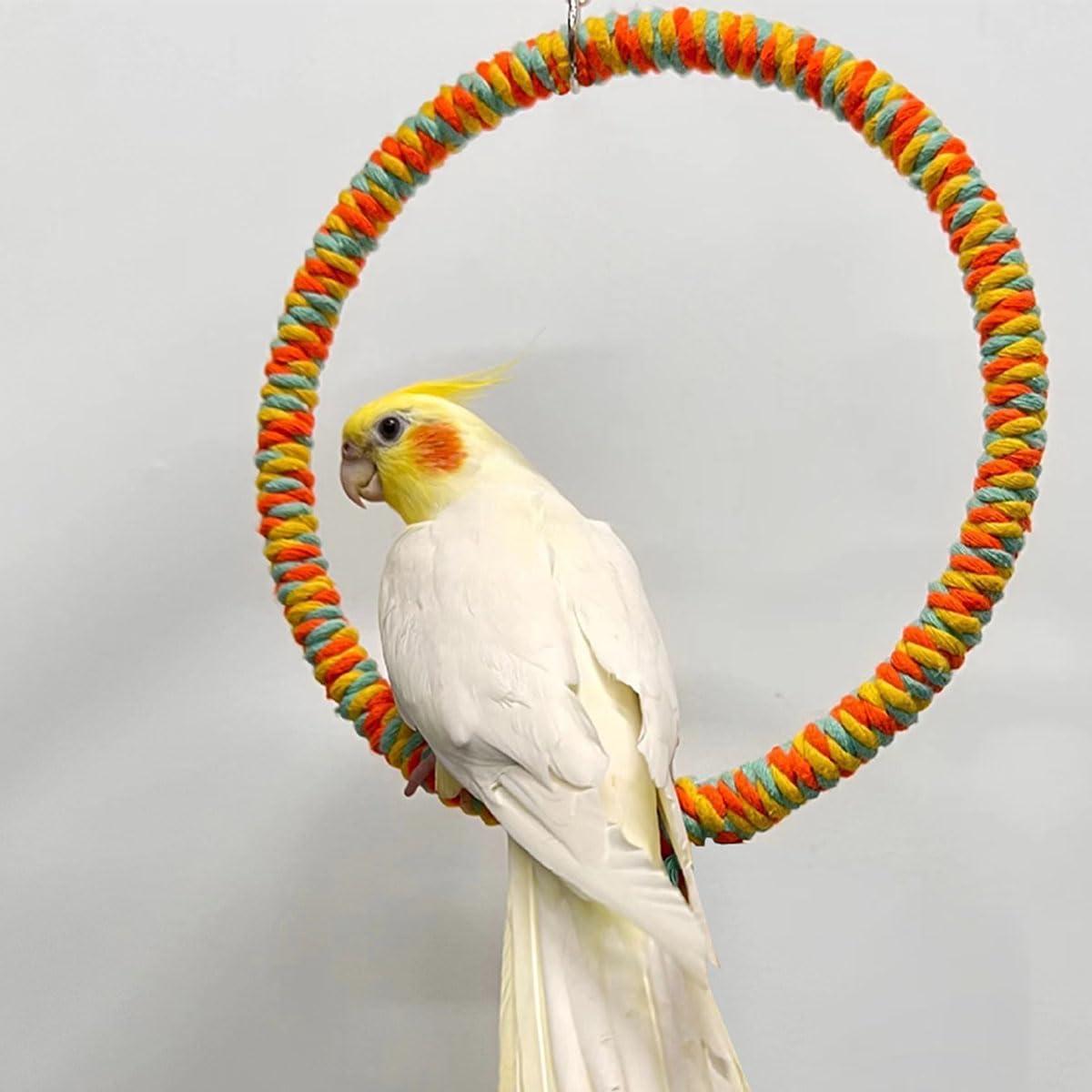 Columpio Circular para Aves Paxikaka 12.7 cm Algodón