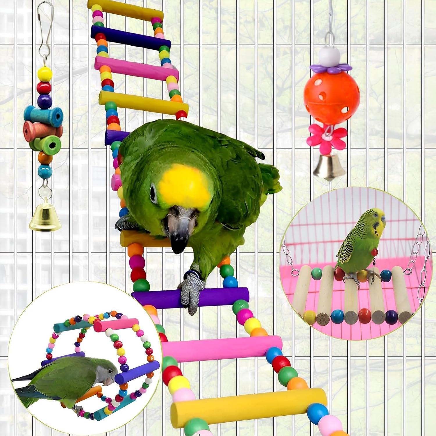 Juego de 11 Juguetes para Aves Paradmas - Columpio y Escalera