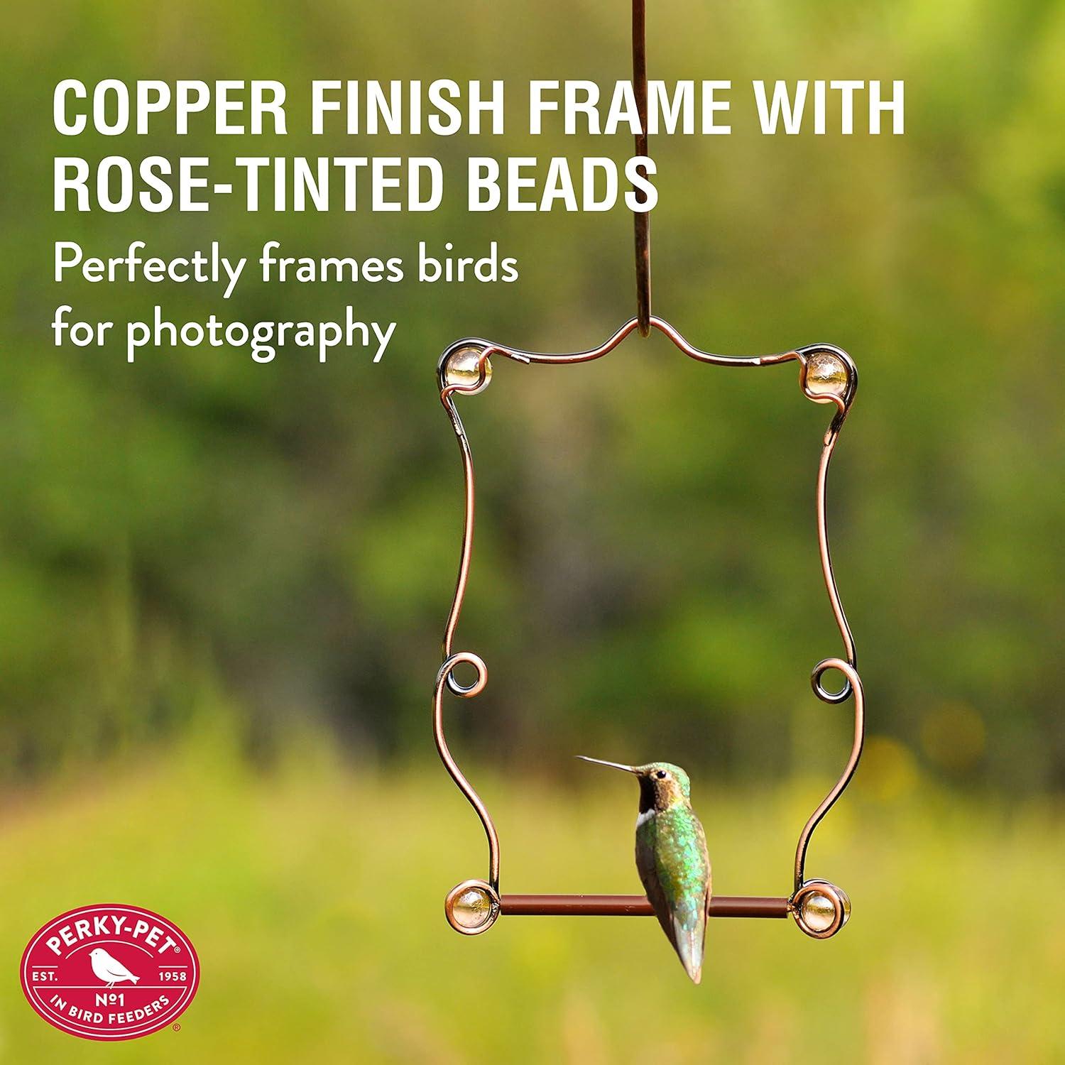 Columpio para Colibríes Perky-Pet con Perlas de Cobre