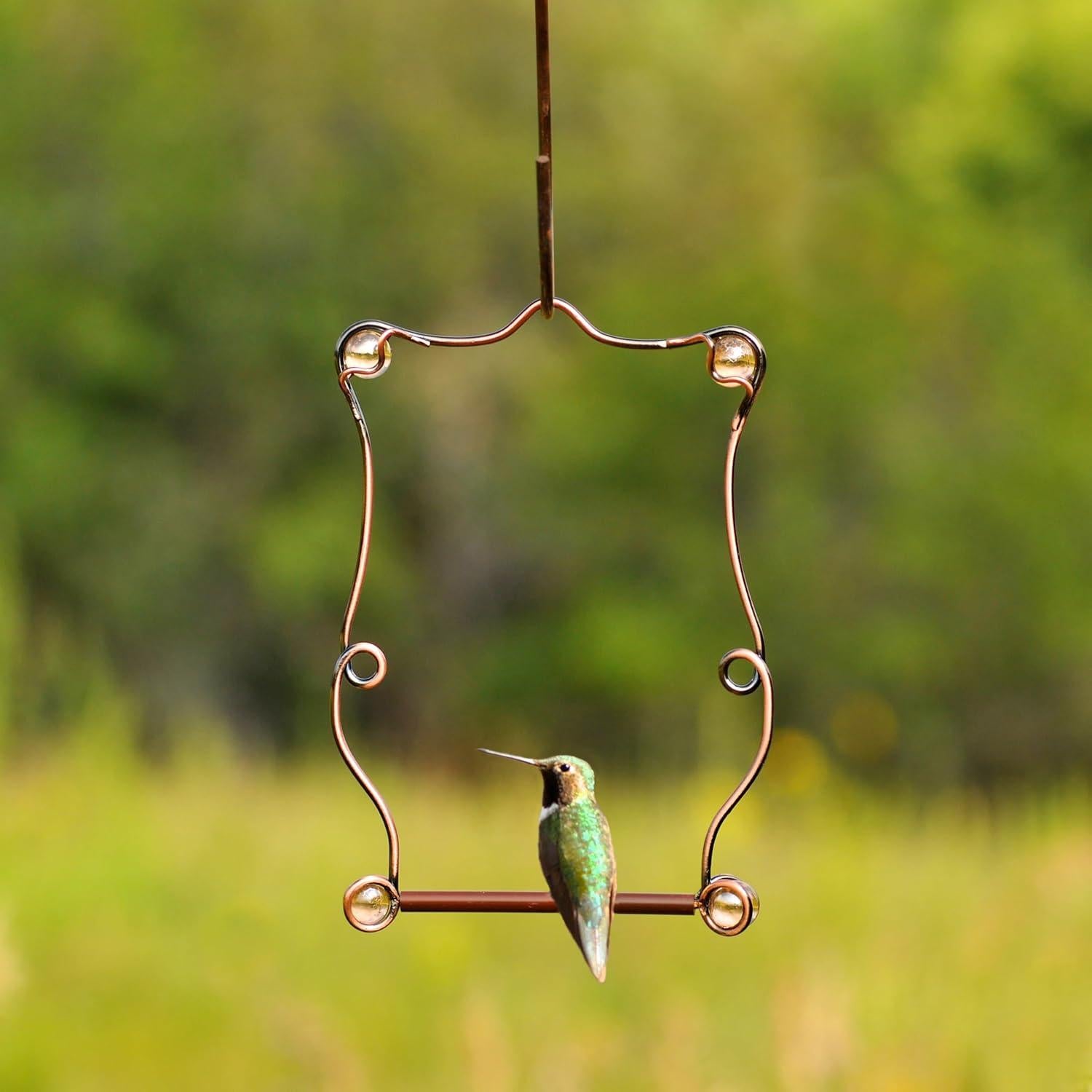 Columpio para Colibríes Perky-Pet con Perlas de Cobre