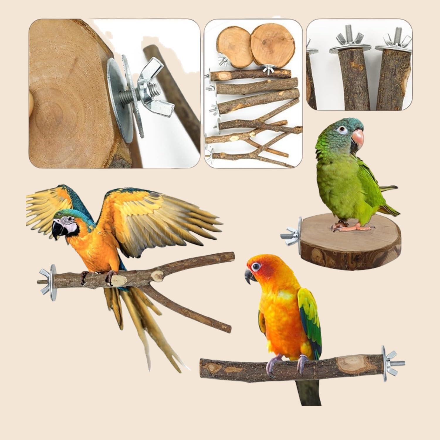 Juego de 8 Perchas de Madera Natural para Aves Rliguanrui