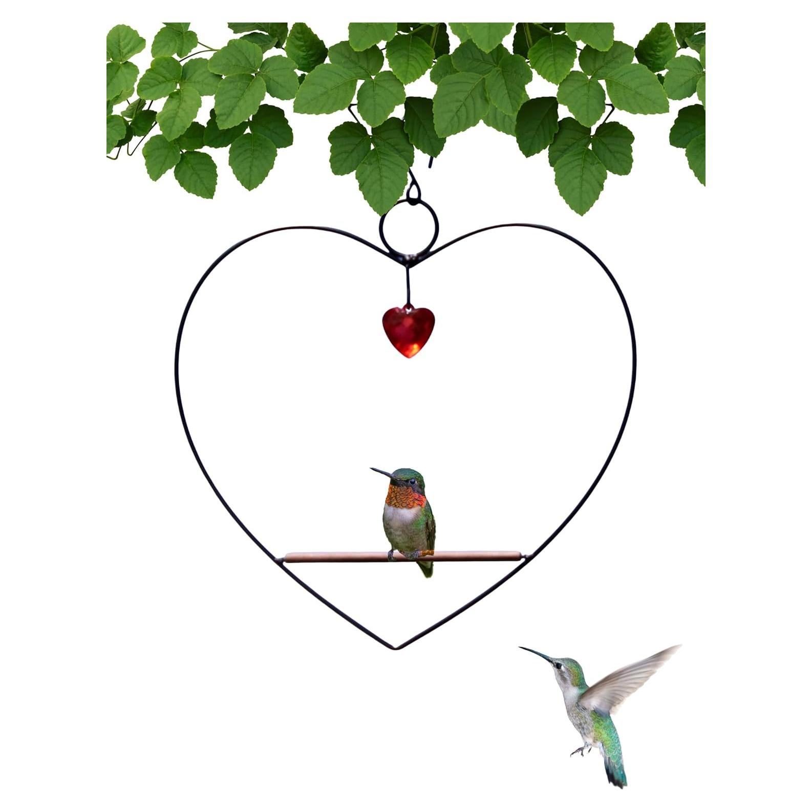 Columpio para Colibríes Tweet Heart Songbird Essentials, Metal Negro