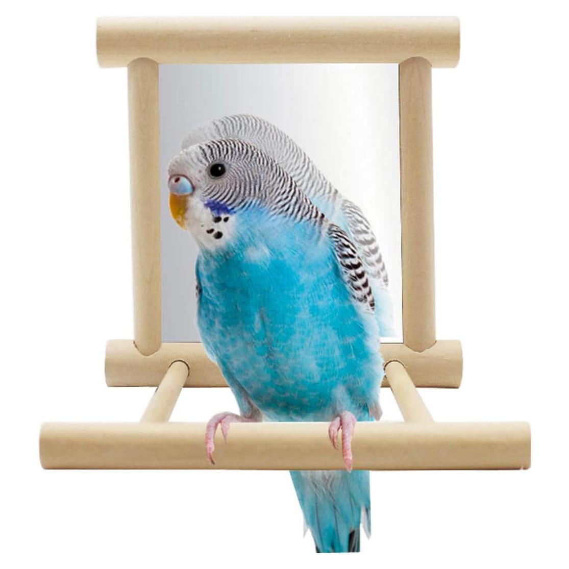 Juguete Espejo para Loro Hypeety con Columpio y Percha