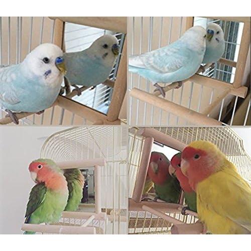 Juguete Espejo para Loro Hypeety con Columpio y Percha