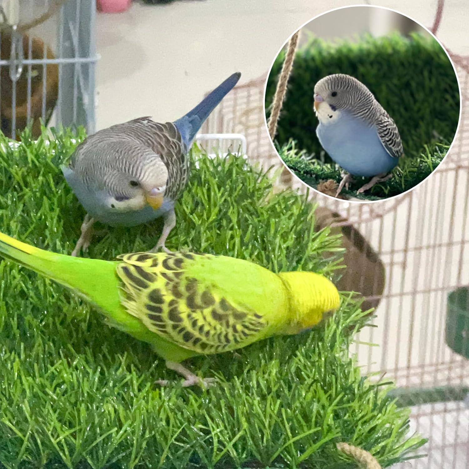 Hamaca para Aves FlidRunest 40x20 cm, Juguete de Escalada