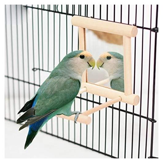 Espejo Colgante para Pájaros Litewood 10x15cm Juguete Interactivo