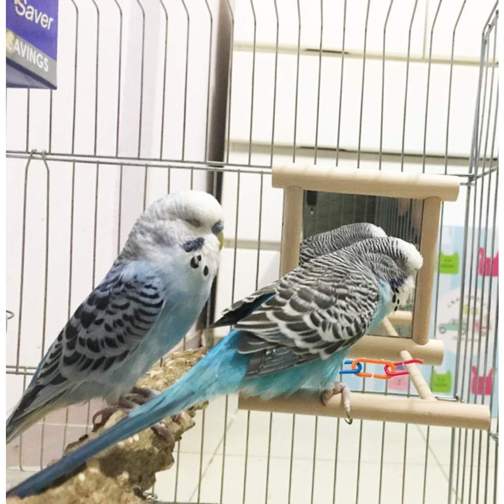 Espejo Colgante para Pájaros Litewood 10x15cm Juguete Interactivo