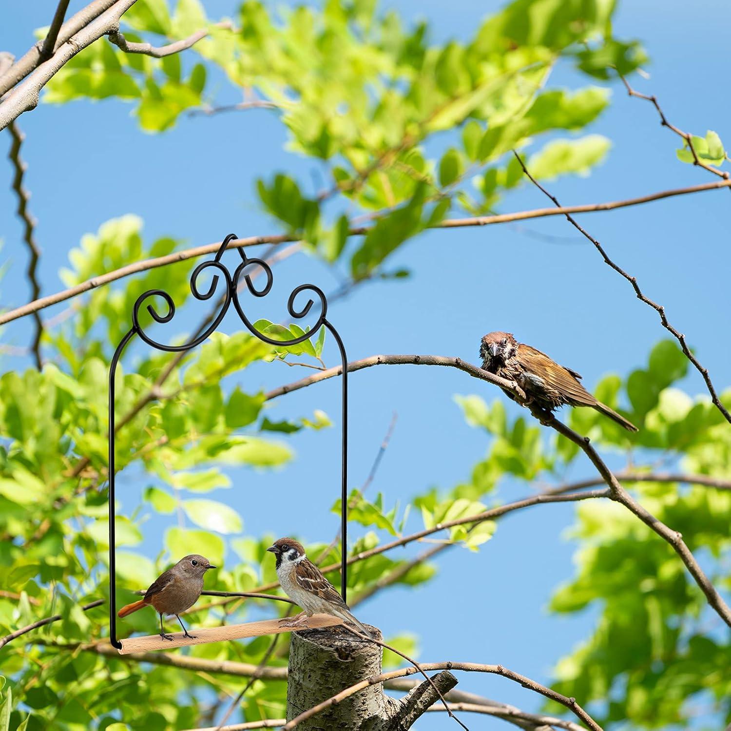 Columpio para Colibrí Jenaai - 3 Piezas Metal Resistente 19cm