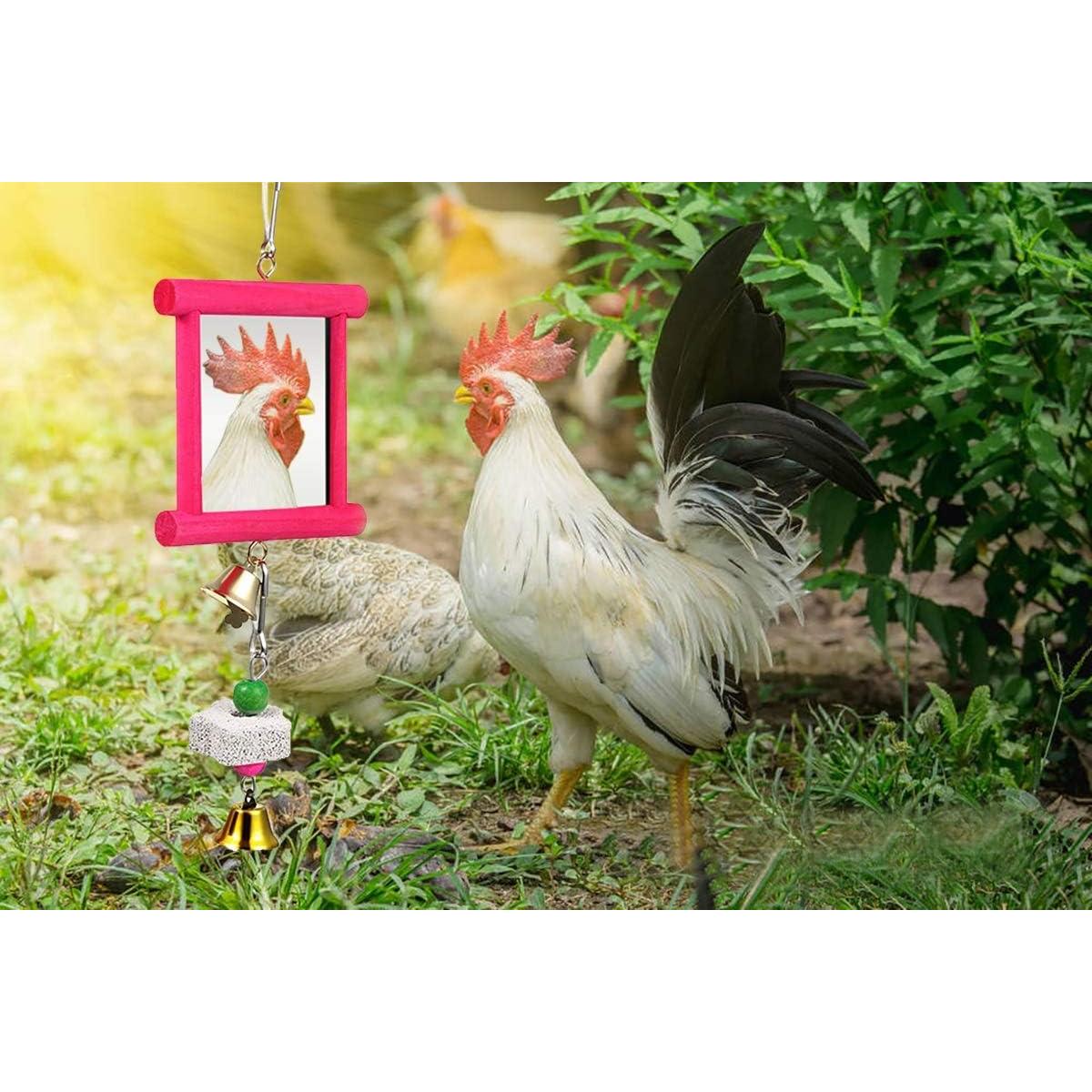 Juguetes Espejo para Pollos Vehomy 2 Pcs con Campanas y Piedras