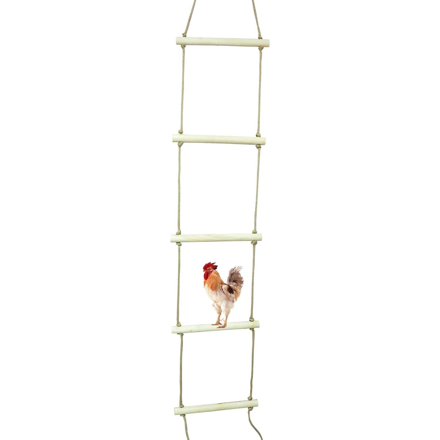 Perch Stand Extra Grande Oooct 350.52 x 41.91 cm para Pollos