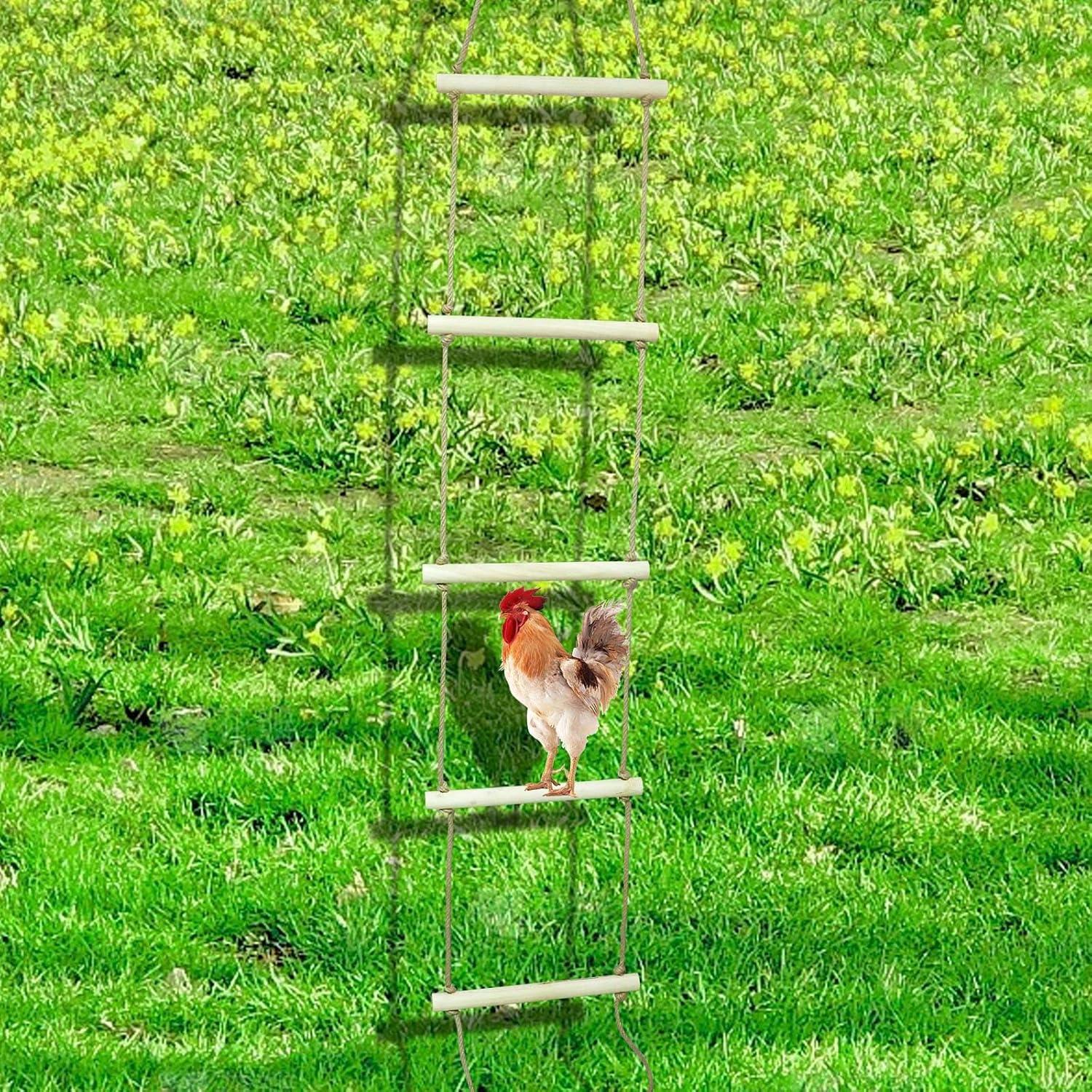 Perch Stand Extra Grande Oooct 350.52 x 41.91 cm para Pollos