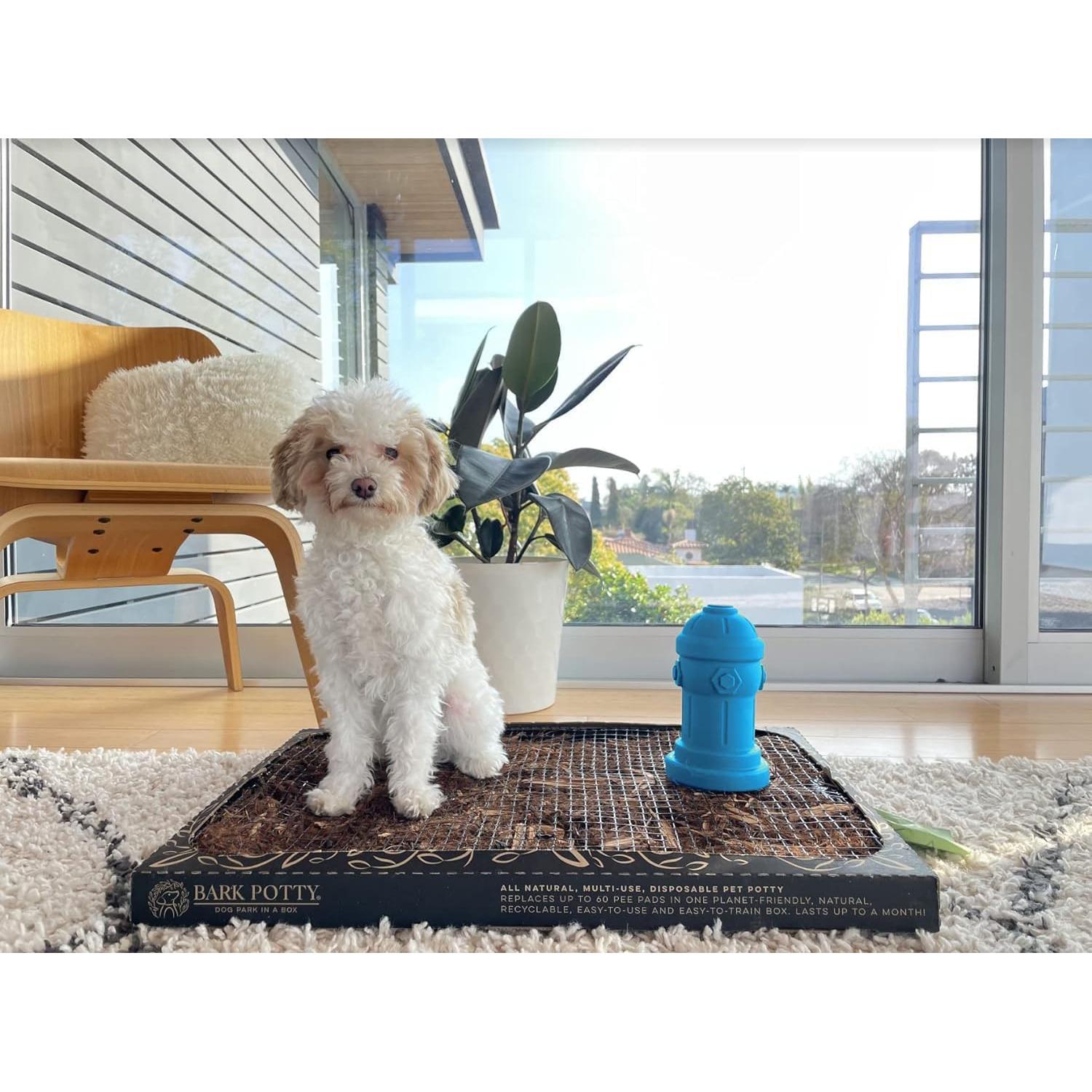 Hidrante de Silicona para Perros Machos Bark Potty 10.16x17.78cm Azul