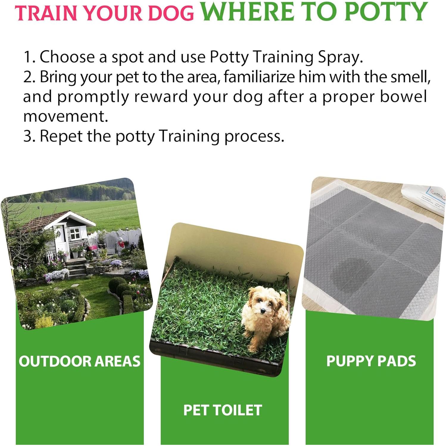 Spray Entrenamiento para Cachorros Petstoral 100ml - No Aquí