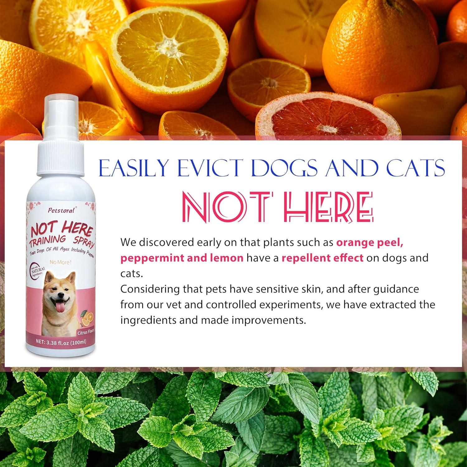 Spray Entrenamiento para Cachorros Petstoral 100ml - No Aquí