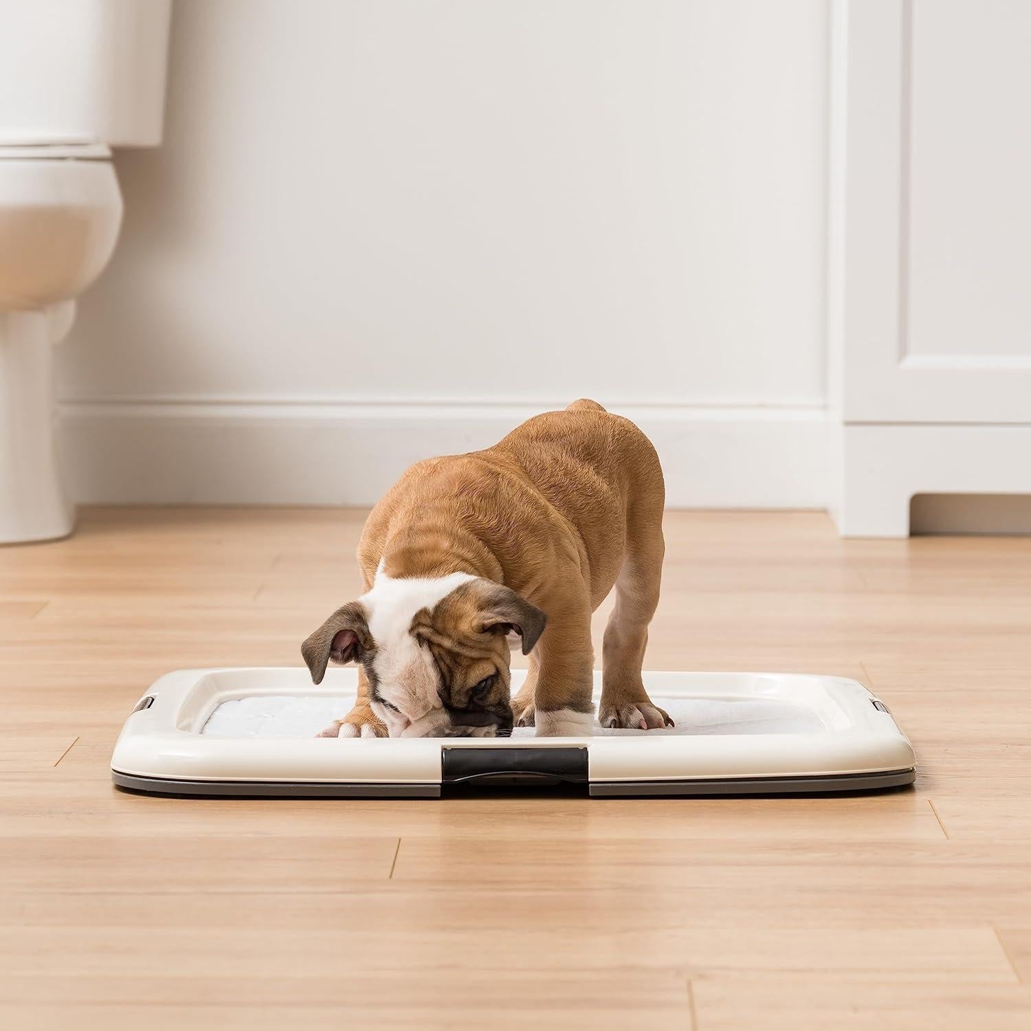 Soporte para Almohadilla IRIS USA - Entrenamiento de Perros 56x56 cm