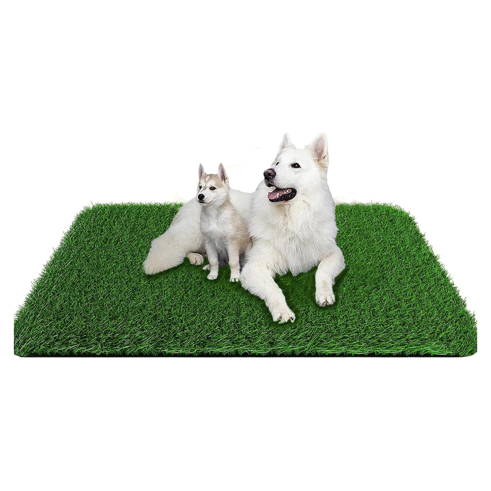 Alfombra de Césped Artificial para Perros 100 x 80 cm PICK FOR LIFE