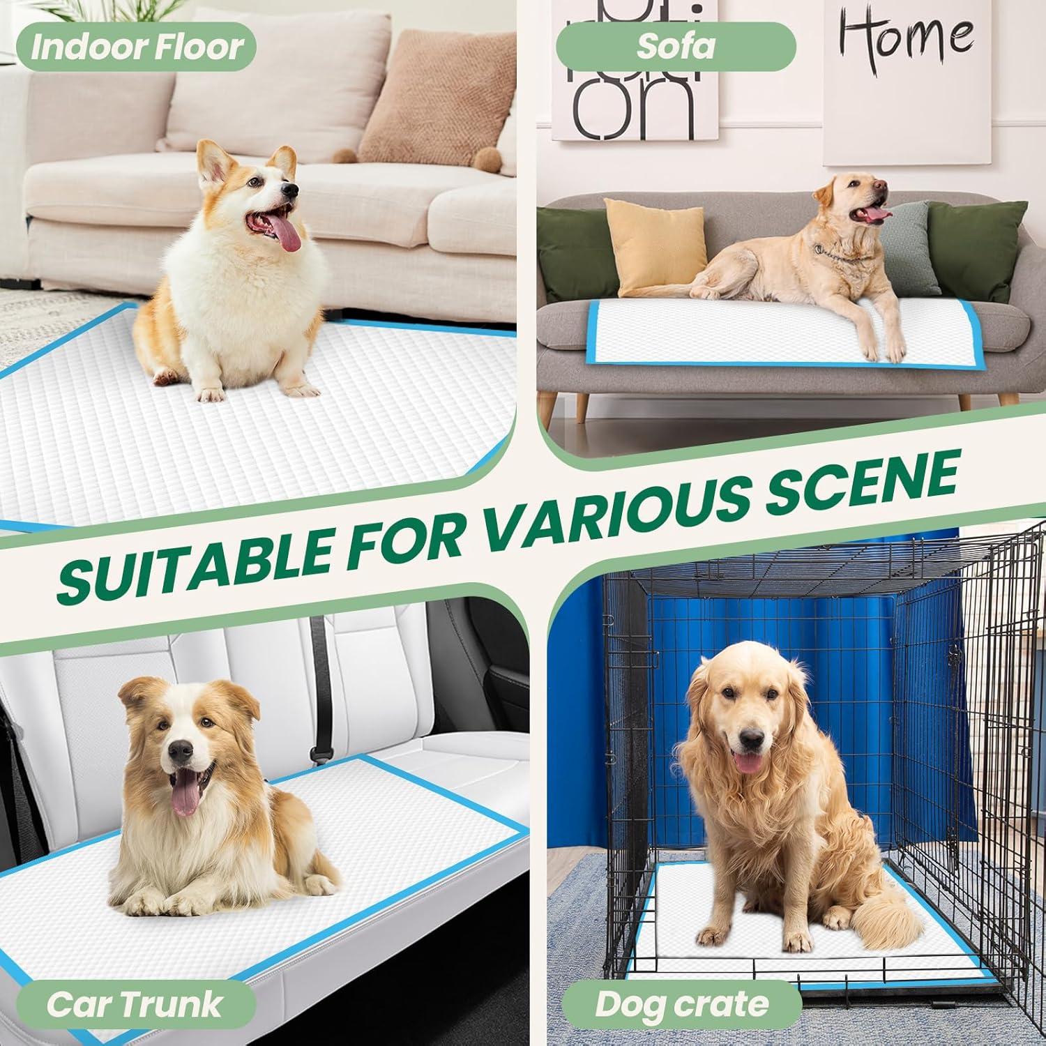 100 Almohadillas Absorbentes IMMCUTE 76x71cm para Perros y Gatos