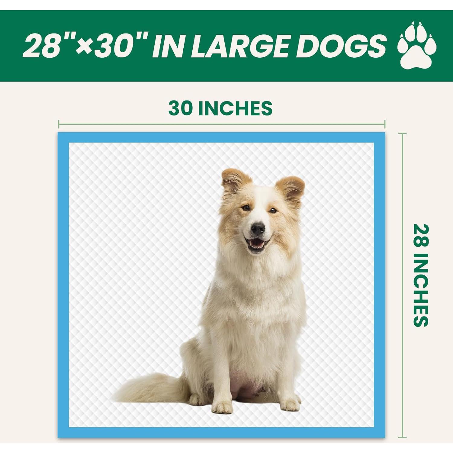 100 Almohadillas Absorbentes IMMCUTE 76x71cm para Perros y Gatos