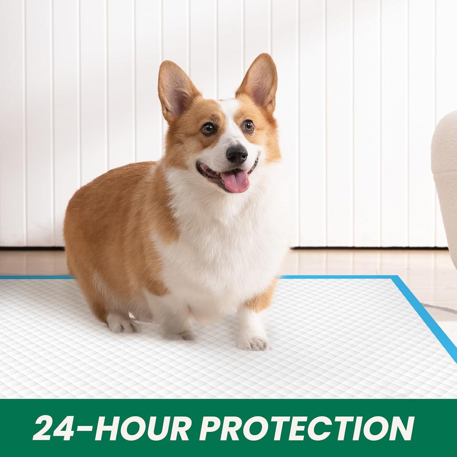 100 Almohadillas Absorbentes IMMCUTE 76x71cm para Perros y Gatos