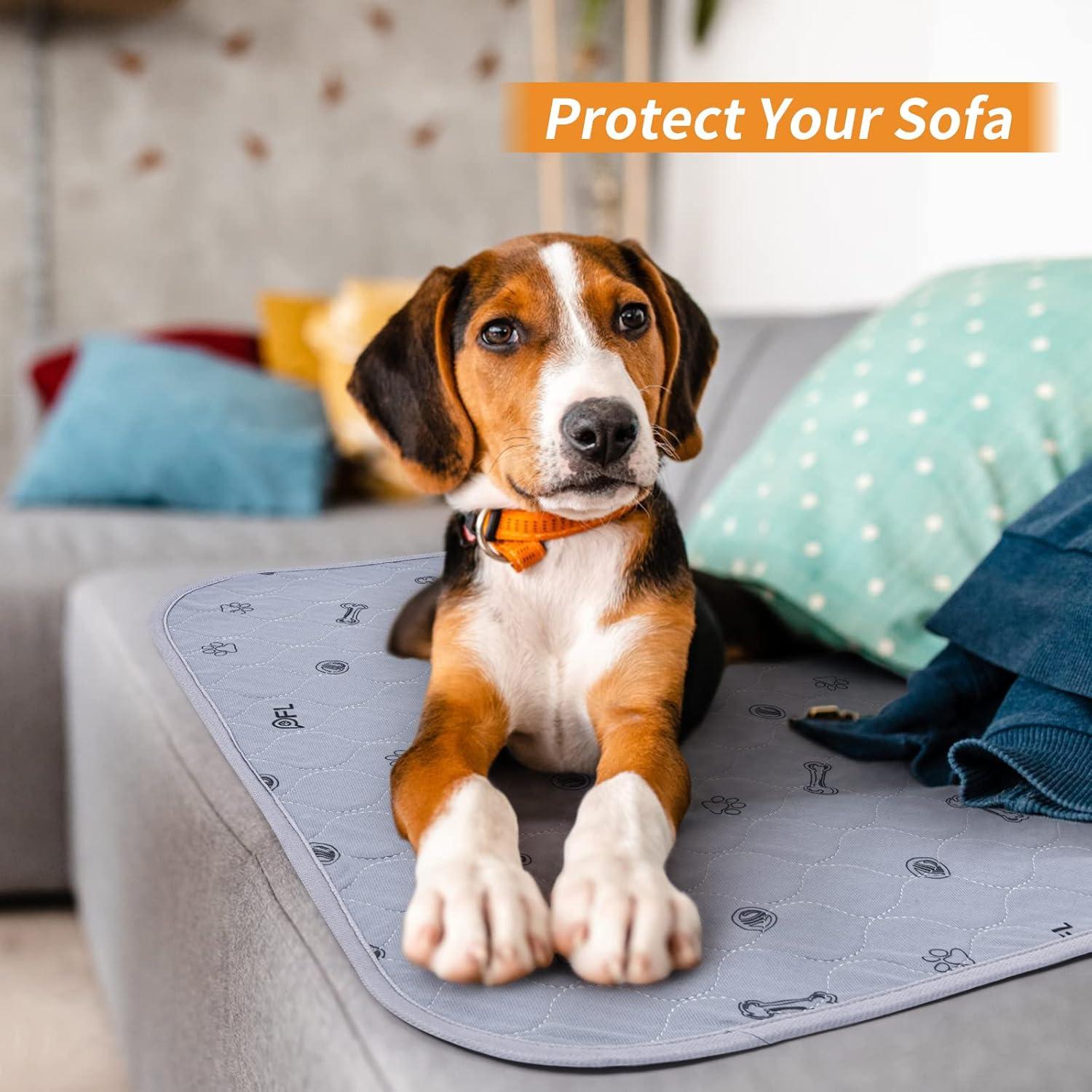 Alfombrillas Lavables para Perros PICK FOR LIFE 45.7x61cm 2 Piezas