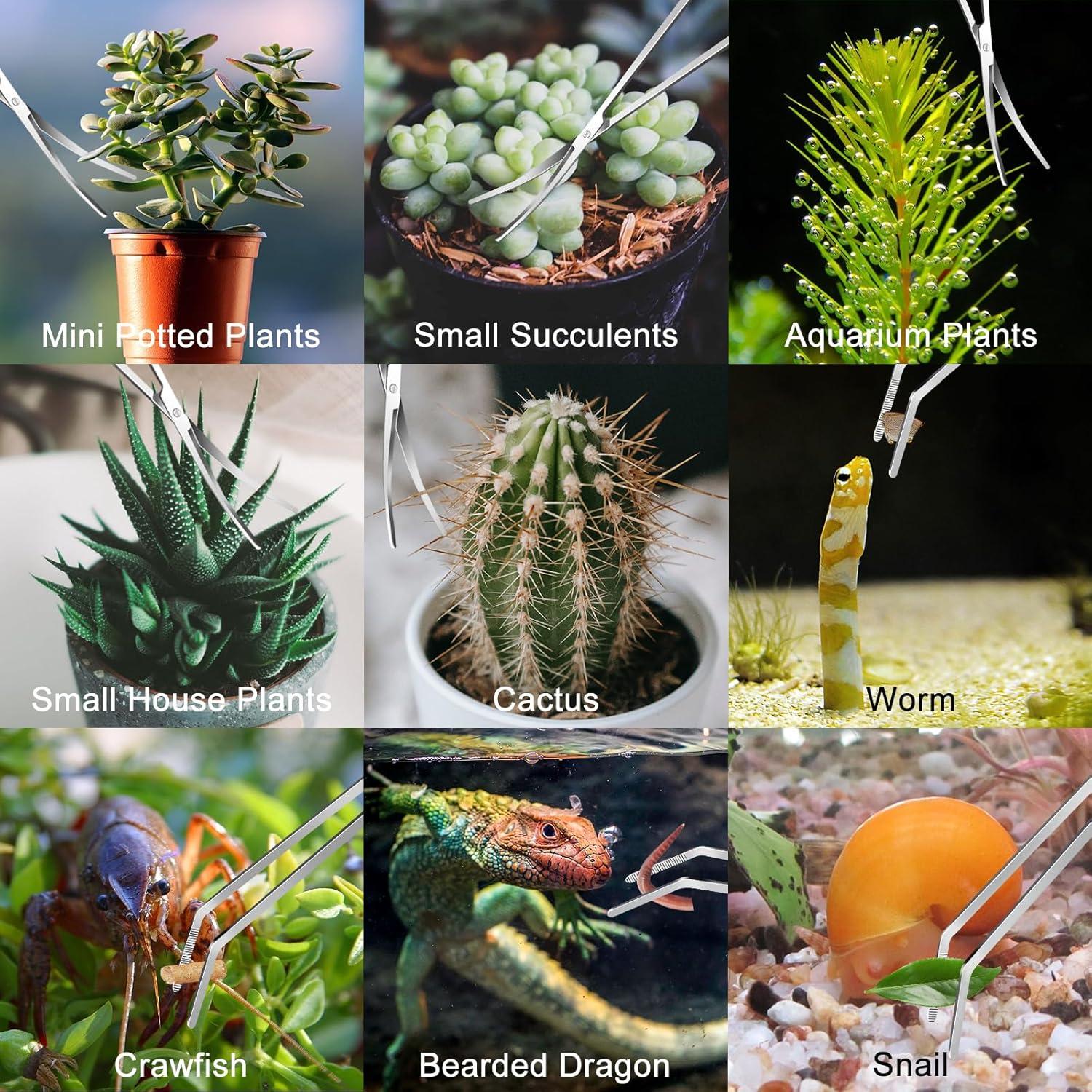 Kit de herramientas de aquascaping Jeimier 4 piezas 32 cm