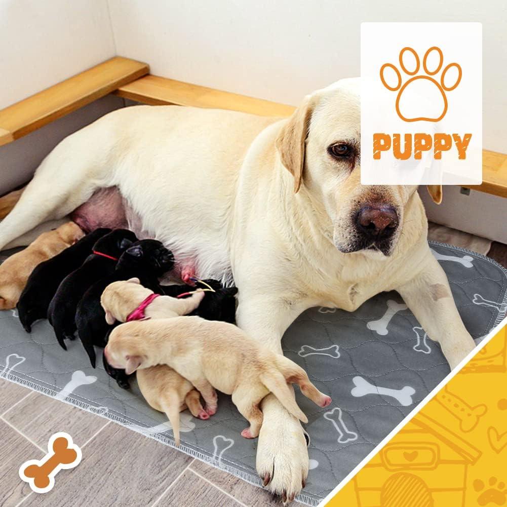 Paquete de 6 almohadillas lavables para perros 61x41 cm Wortade