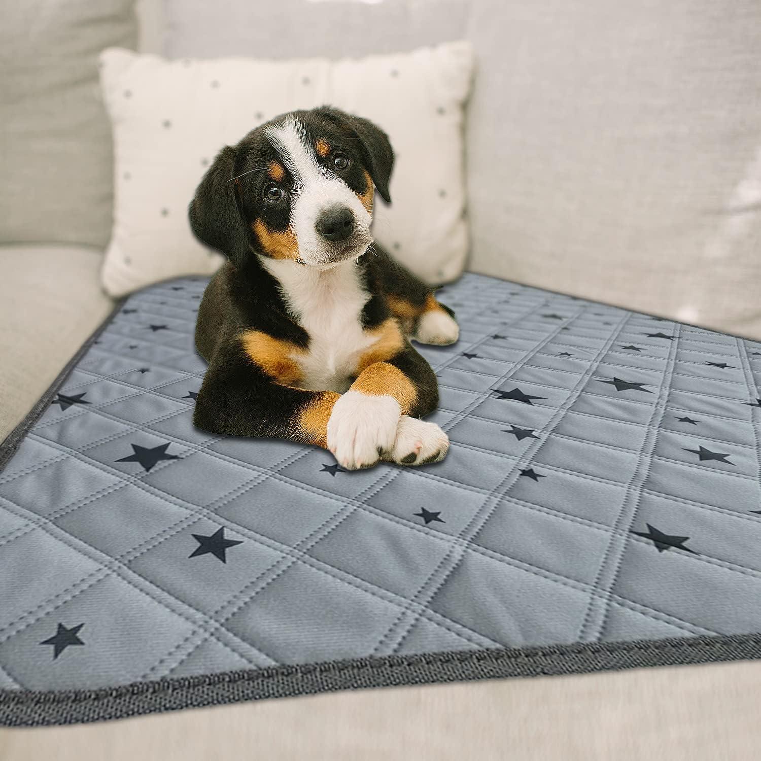 Almohadillas Lavables RIOUSSI para Perros 45.72x60.96 cm 4pack