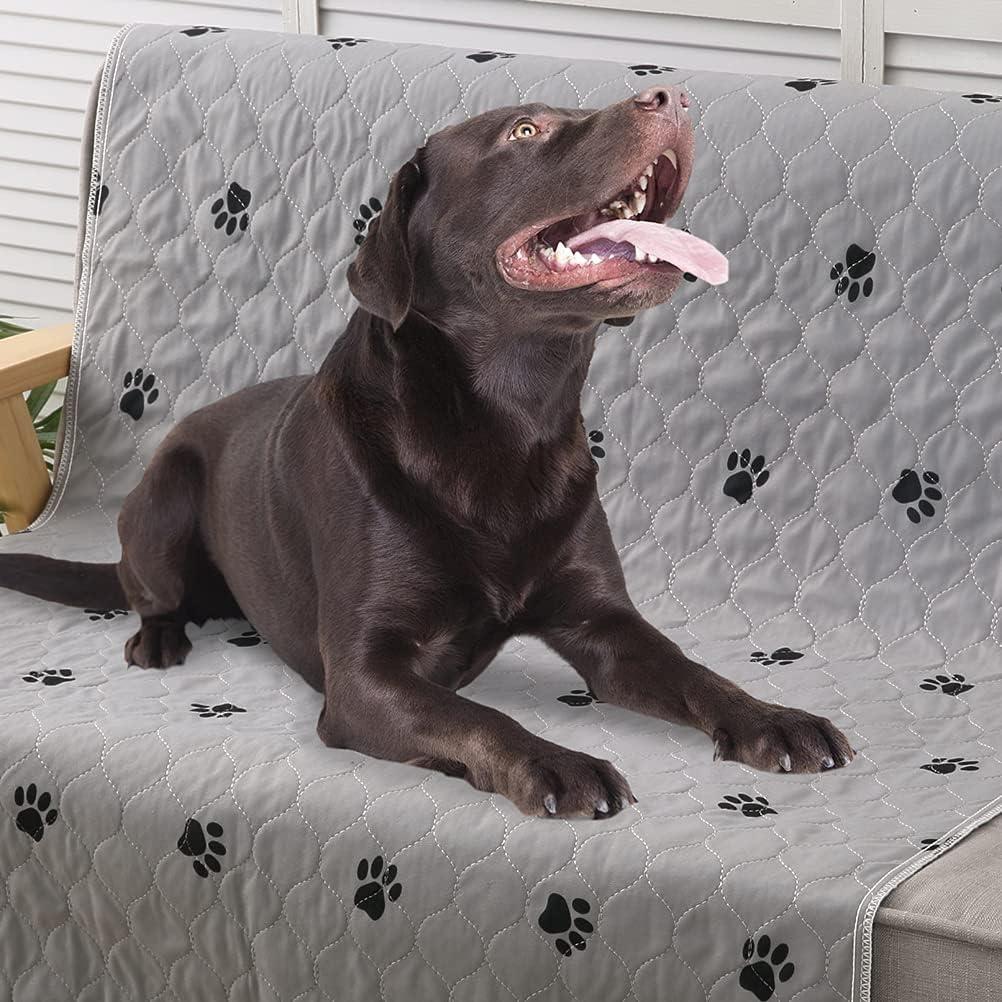 Almohadillas Lavables PUPTECK 48x60 cm - Paquete de 2