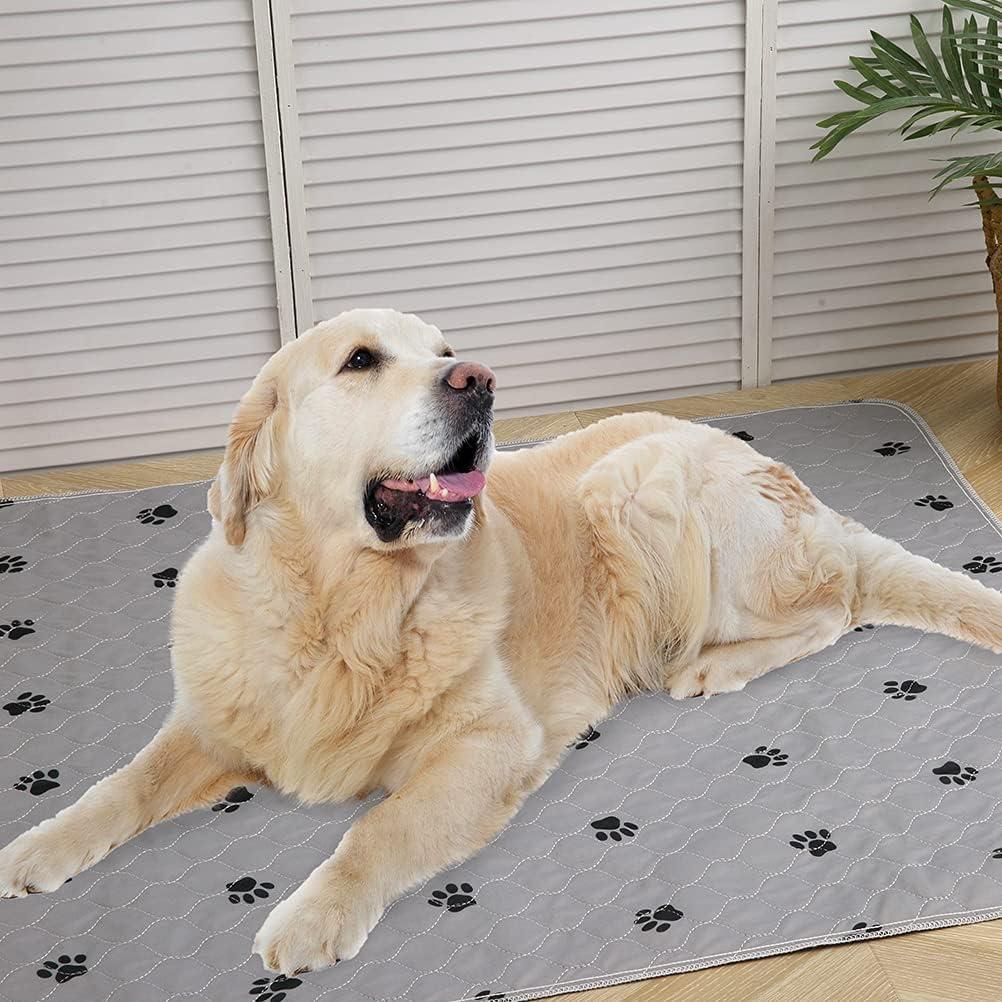 Almohadillas Lavables PUPTECK 48x60 cm - Paquete de 2