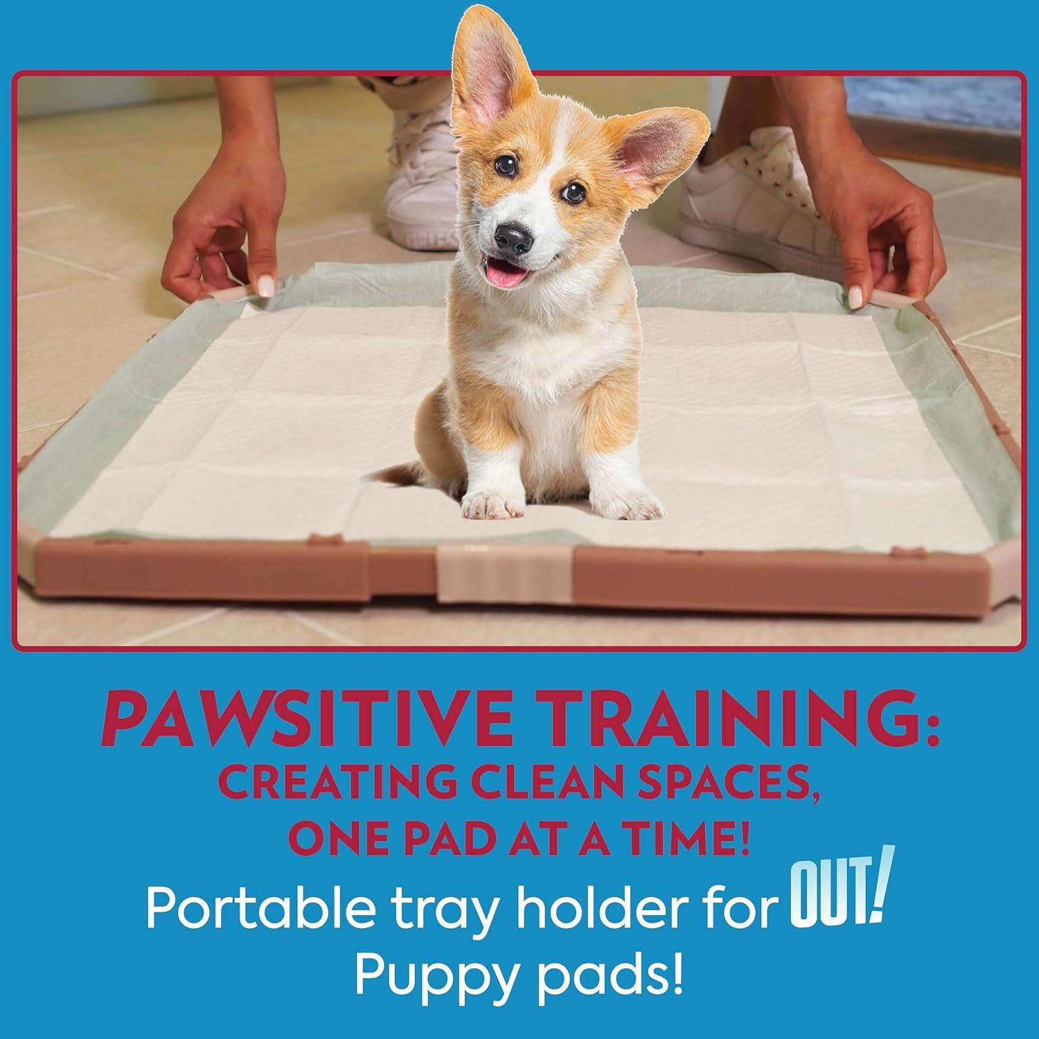 Bandeja Portapads para Perros OUT! PetCare 53x53 cm Antideslizante